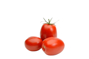 Tomate allongée Cencara  طماطم سينكارا طويلة